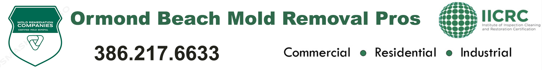 Ormond Beach Mold Removal Pros