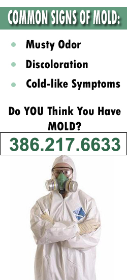 Ormond Beach Mold Remediation Contractor